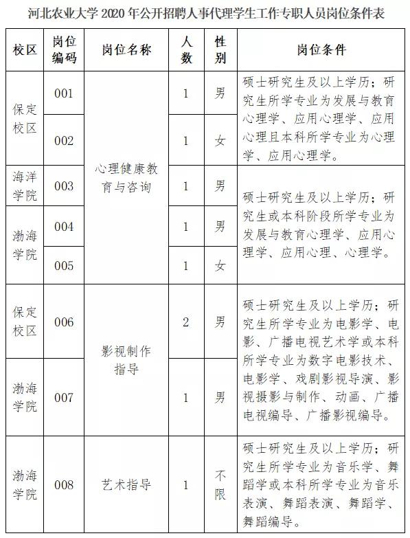 黄骅港最新招聘,黄骅港最新招聘动态及职业机会探讨