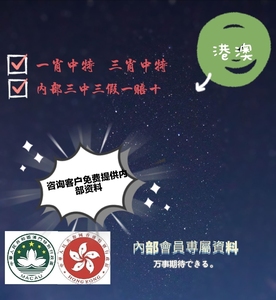 澳门王中王100%的资料三中三,澳门王中王100%精准资料解析，三中三的奥秘