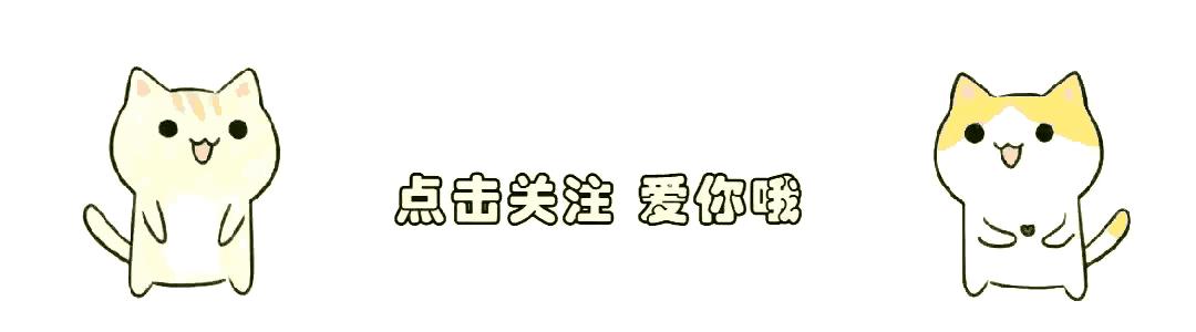 2024澳门今天晚上开什么生肖啊,探寻澳门生肖预测，2024年今晚生肖运势展望